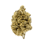 Remexian 30/1 HCC BMS Black Mountain Side